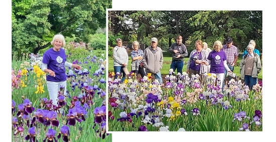 rae jean gee smiles at mccrory gardens in a field of irises