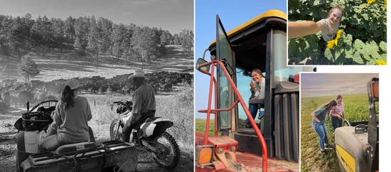 collage of abby bruns on her family ranch