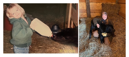 Photo on left is Abby Bruns as a young child, probably 3 or 4, standing in a barn feeding a bottle calf. Second photo is Abby current day in a barn, smiling and holding a calf.