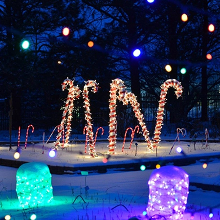 Large candy canes wrapped in white and red lights overlook large green and purple lighted gumdrops during Garden Glow.