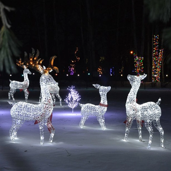 Four lighted reindeer glow in Reindeer Meadow during Garden Glow, with colorful lights in the background.