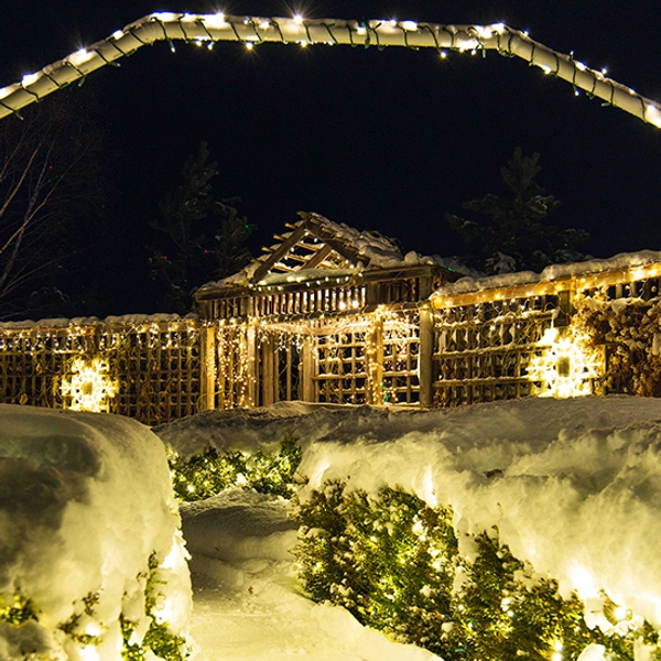 White lights glow up Mrs. Clause retreat within McCrory Gardens.