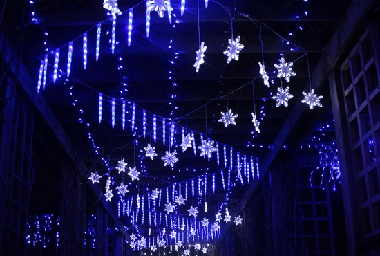 Blue icicle lights and snowflakes dangle above spectators during Garden Glow.