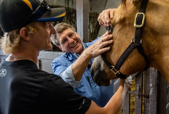 Dr. Gary Gackstetter, Director of the PPVM, and a student examine a horse's eye.
