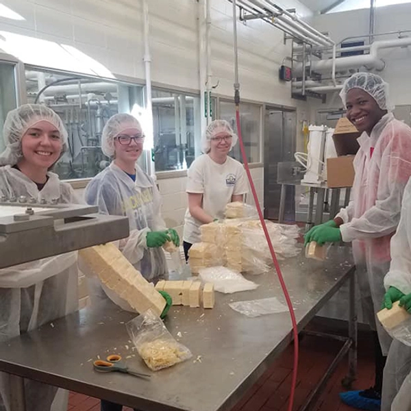 Group of four SDSU dairy students pause from packing cheese to smile for the camera