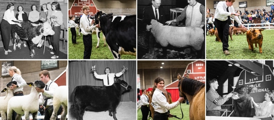 Collage of photos from the Little I competitions, some historic and some current