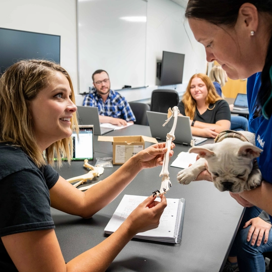 SDSU vet student holding a skeleton bone, while a professor holding a dog engages with her.