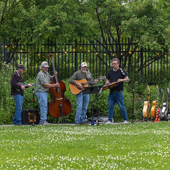 A four-piece bluegrass band performs outdoors on lush green grass.
