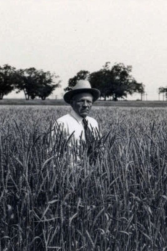 Edgar McFadden stands in a field of wheat, pictured in black and white.