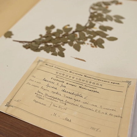 An old archived article with a plant sample above it.