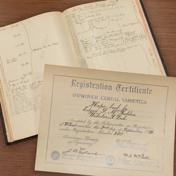 A collection of two old printed materials.