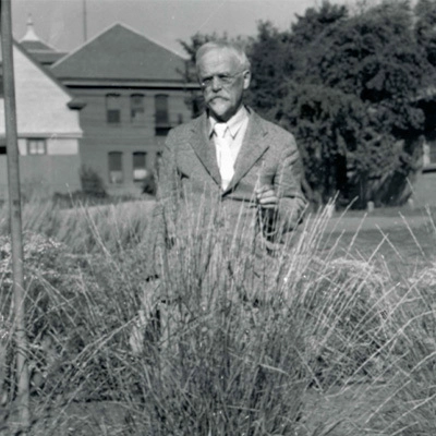 Niels Ebbesen Hansen stands near an alfalfa plant and looks into the distance.