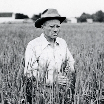 Edgar McFadden stands in a field of wheat, looking off to the distance.